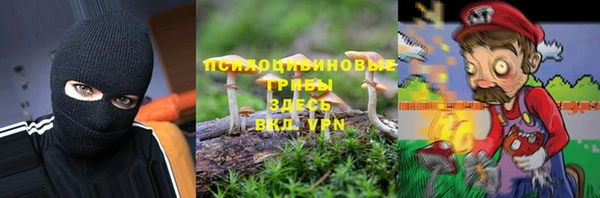 мяу мяу мука Козельск