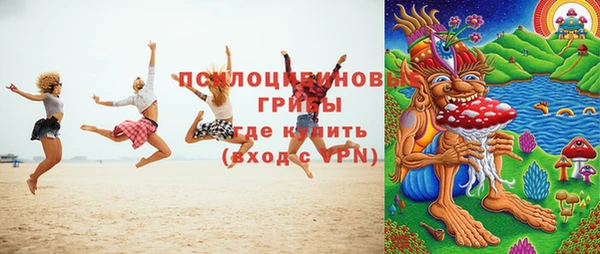 винт Козловка